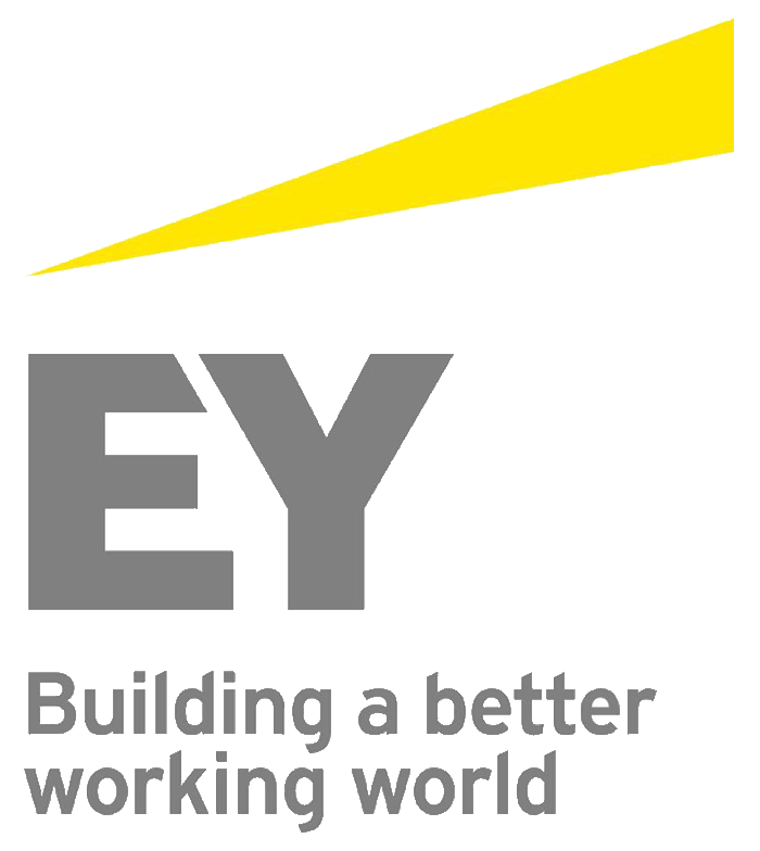 EY, Ernst & Young, The Big 4, Finance, Corporate, Industry, Economics