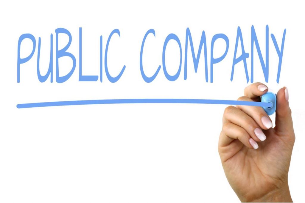 Public Company, Stock, Buying Stocks, Selling Stocks, Finance, Profit