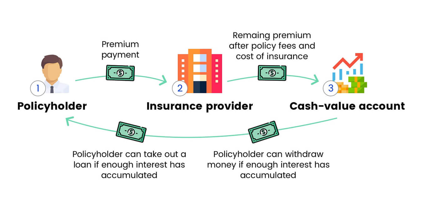 How Do You Calculate The Cash Value Of Whole Life Insurance?