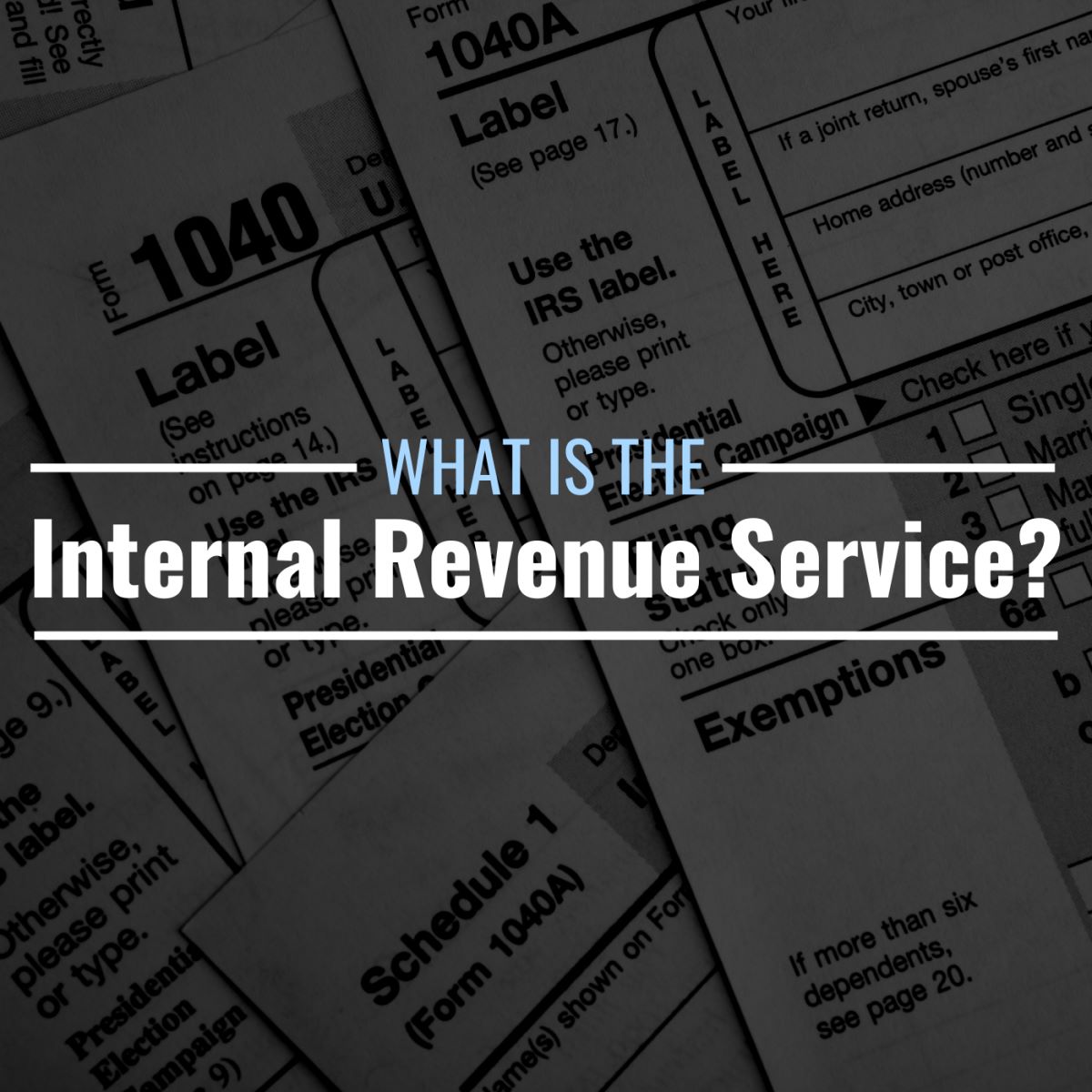 What Does IRS Mean In Text?