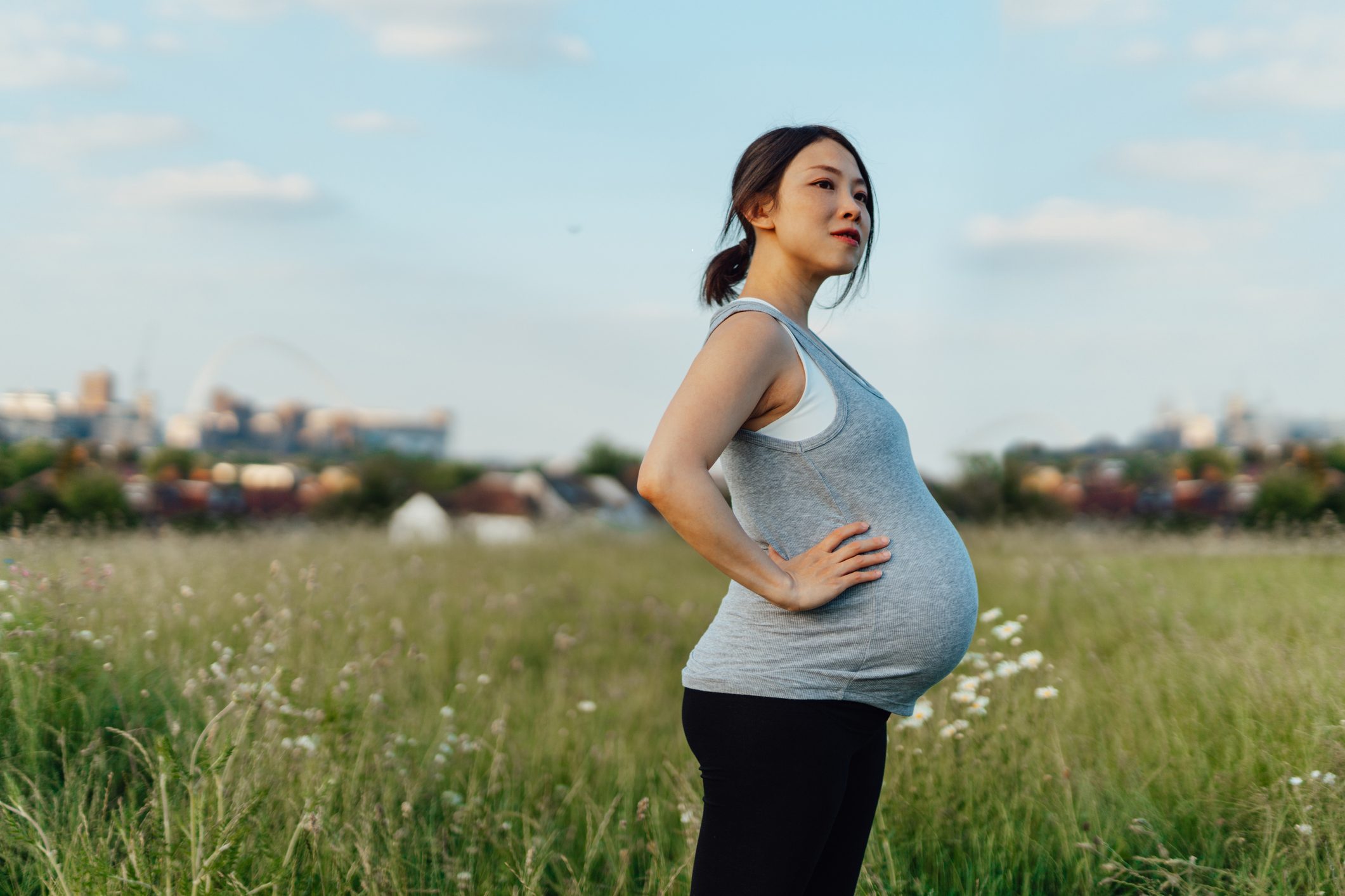 How Much Does OB GYN Cost Without Insurance LiveWell
