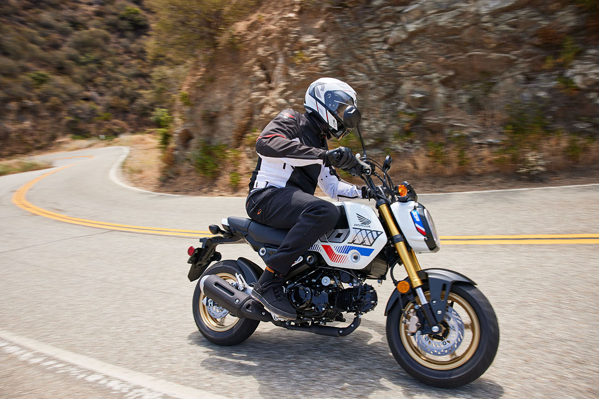 How Much Is Insurance For A Honda Grom?