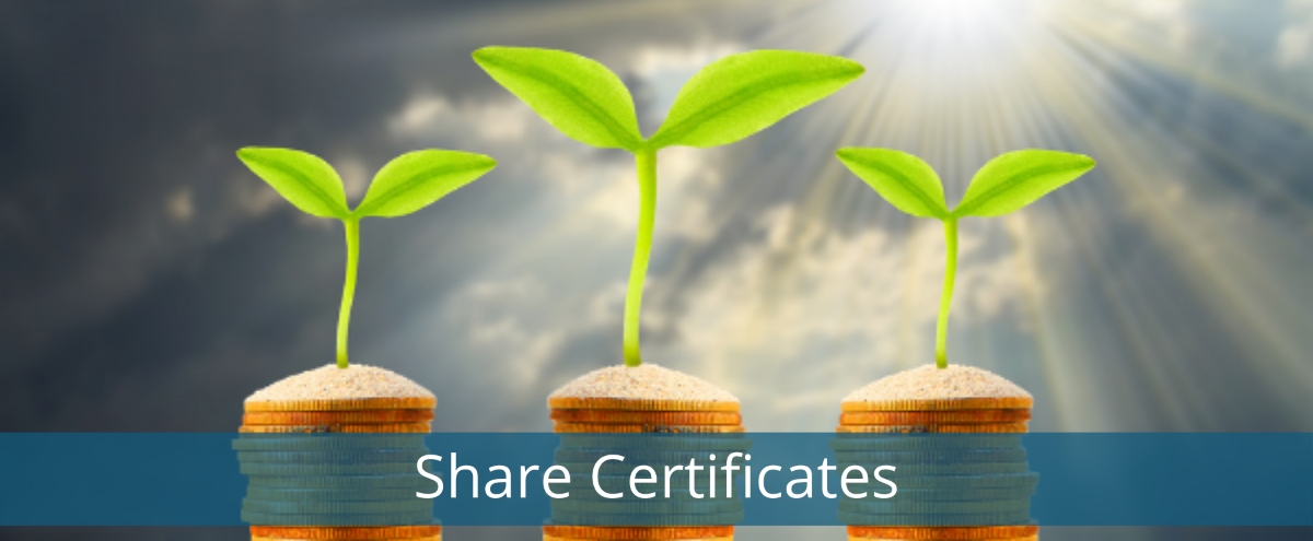 What Are Share Certificates Credit Union