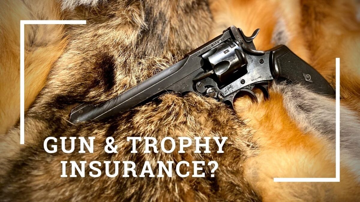 What Is Gun Insurance