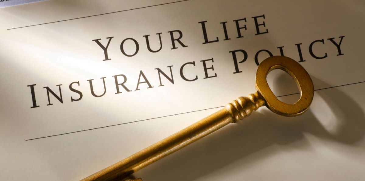 Which Life Insurance Policy Can You Borrow From?