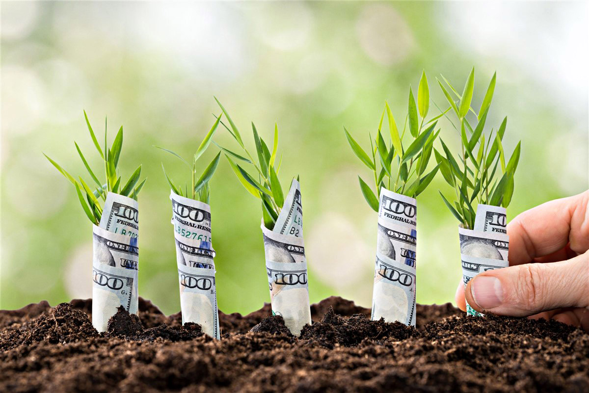 How Much Investment In Seed Funding