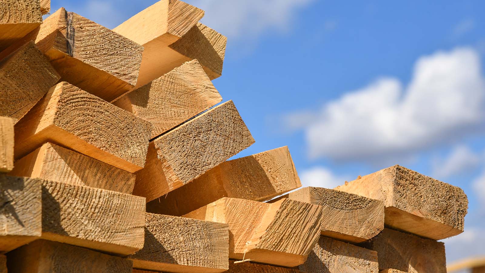 How To Buy Lumber Stocks