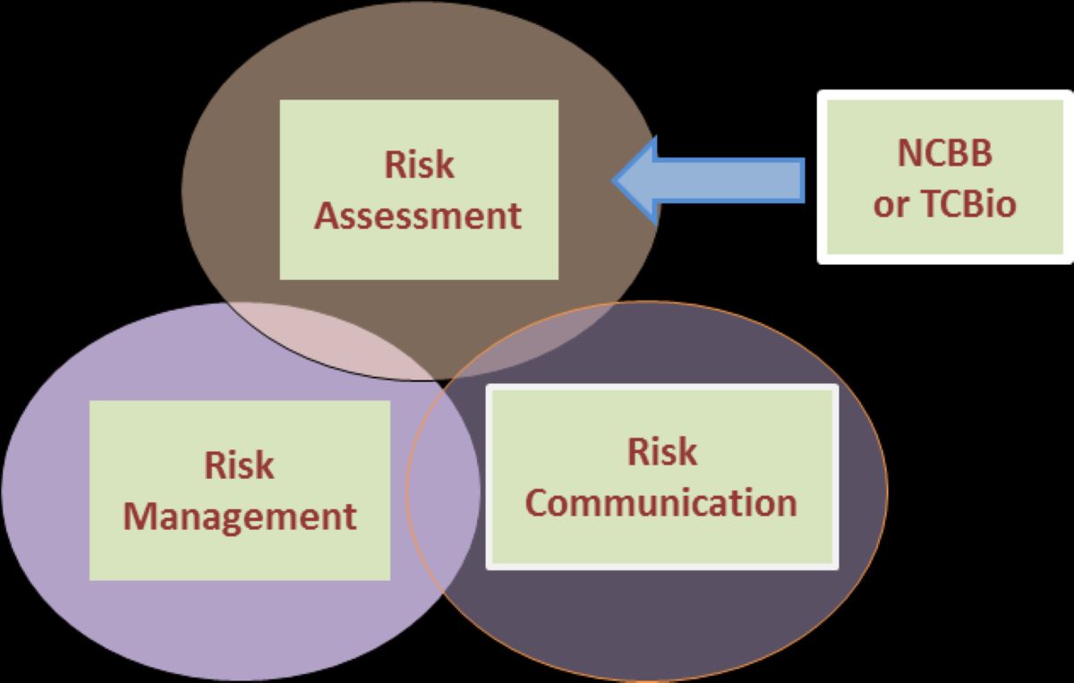 What Are The Three Fundamental Components Of Risk Assessment?