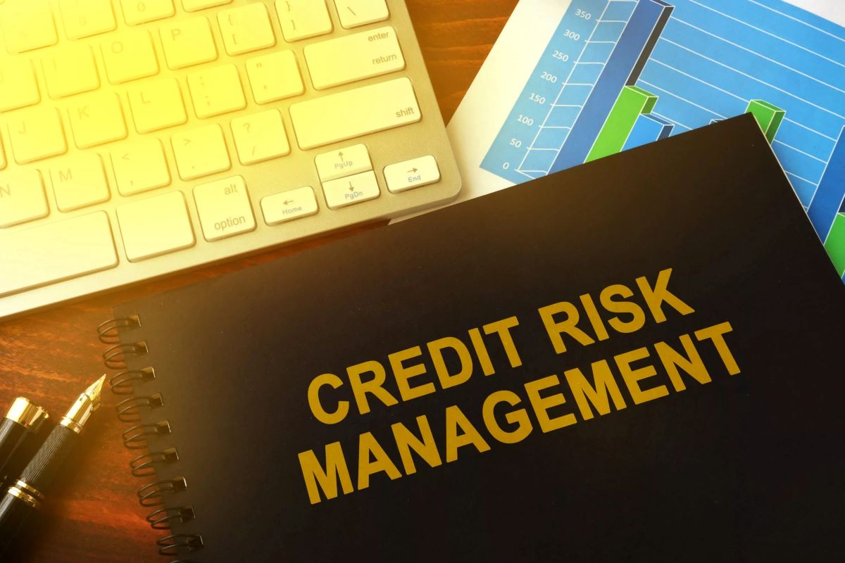 Who Is Credit Management