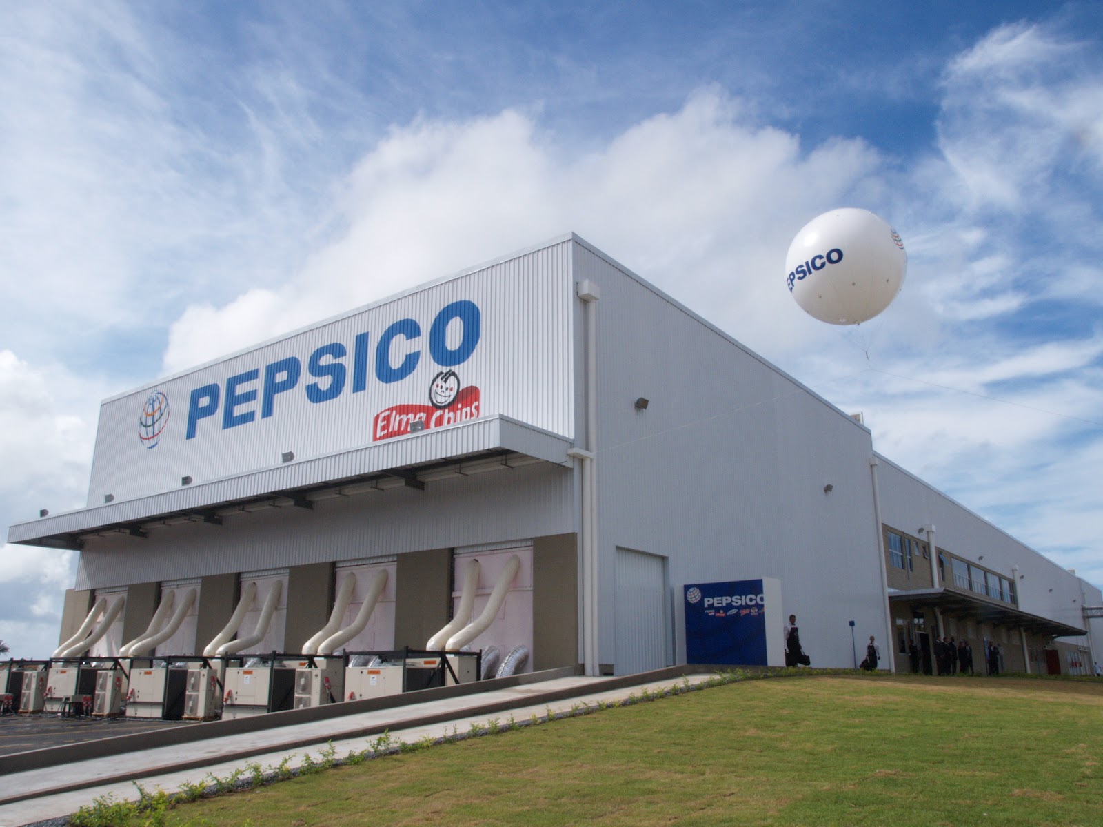 Why Was PepsiCo’s Direct Foreign Investment Primarily In Joint Ventures?
