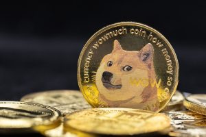 Evaluating the Current State and Future Trajectory of Dogecoin